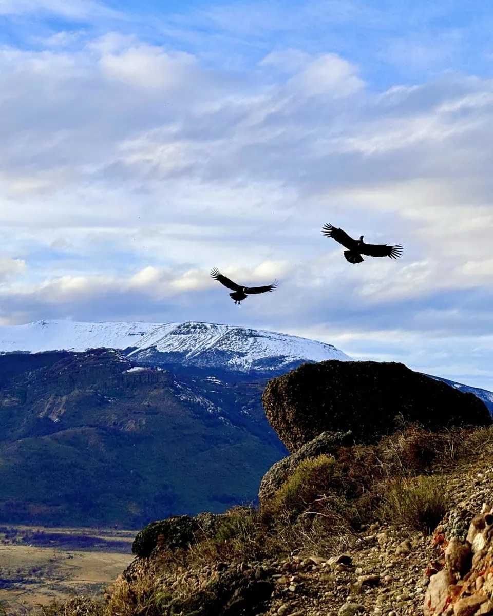 Cerro Benítez Viewpoint