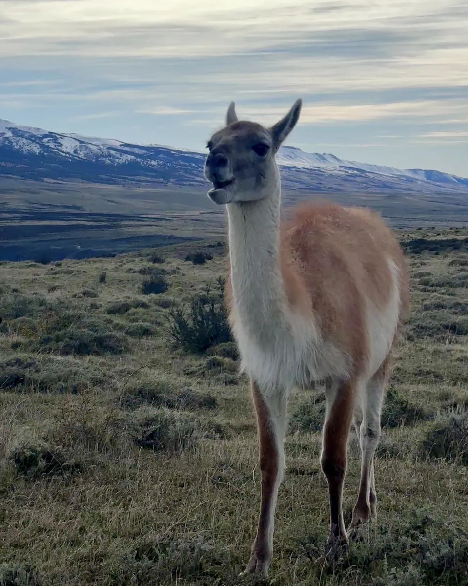 Bird and wildlife watching in the National Park
